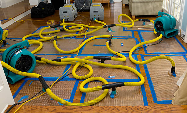 Professional Storm Water Damage Restoration technician working in Coloma, WI